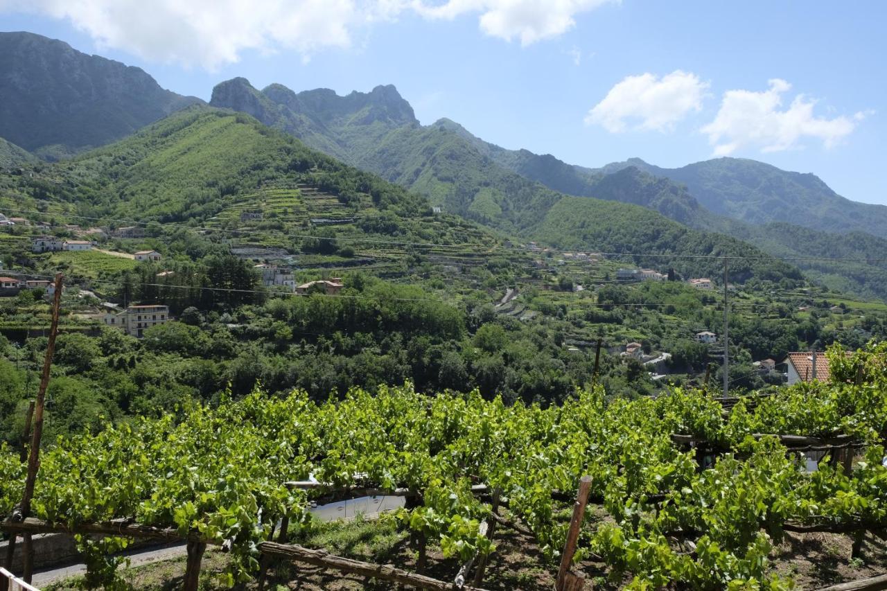 I Tredici Casali Villa Tramonti Ngoại thất bức ảnh
